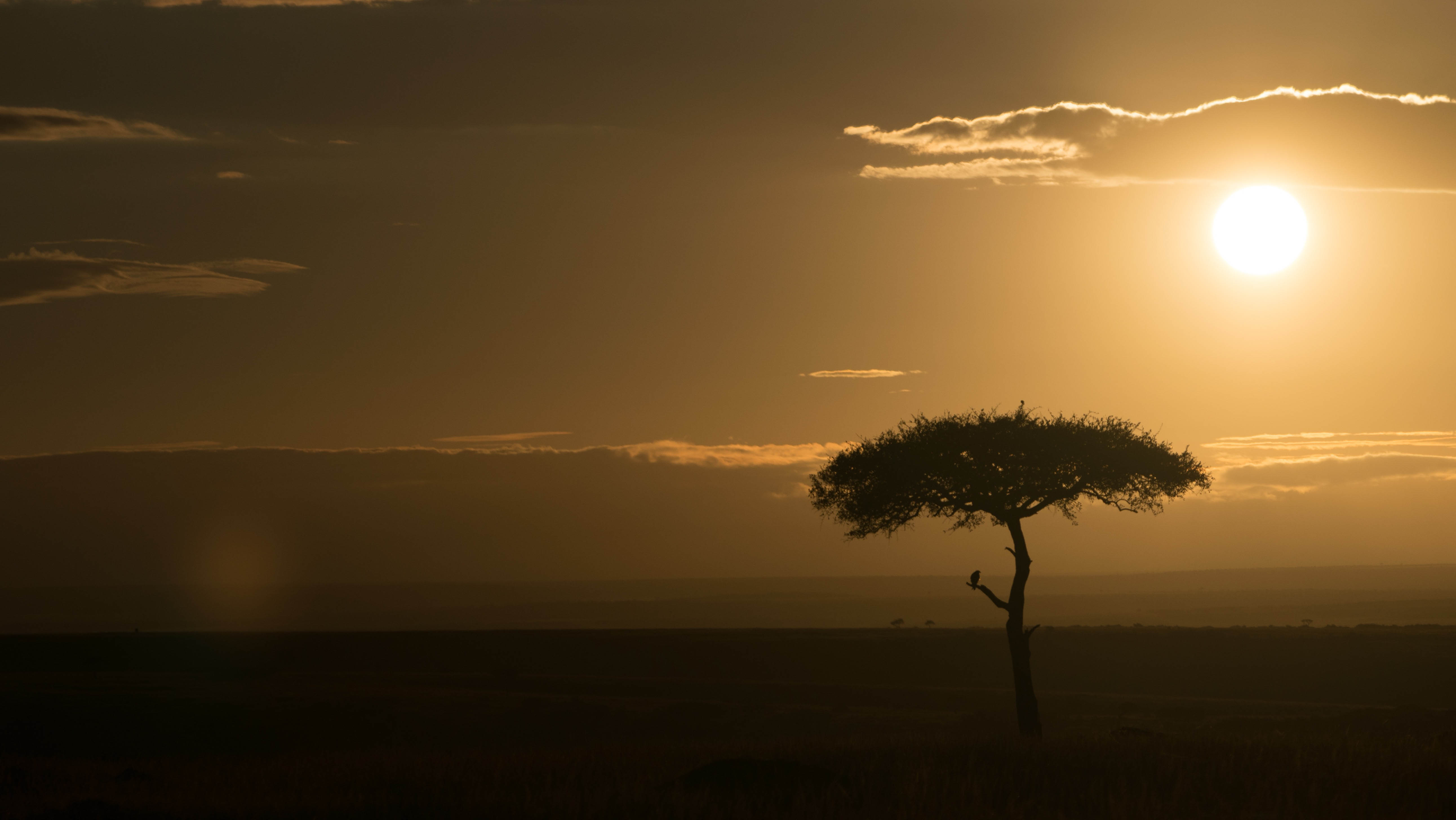 LIFE: FIRST STEPS, Episode 102 - Views at Maasai Mara